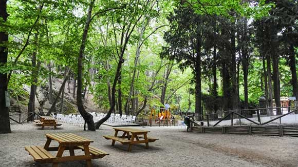 panorama-transfer-to-skg